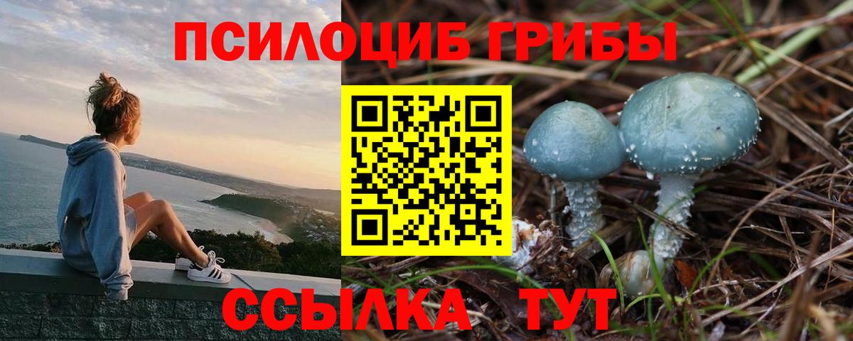 Галлюциногенные грибы MAGIC MUSHROOMS Лабинск