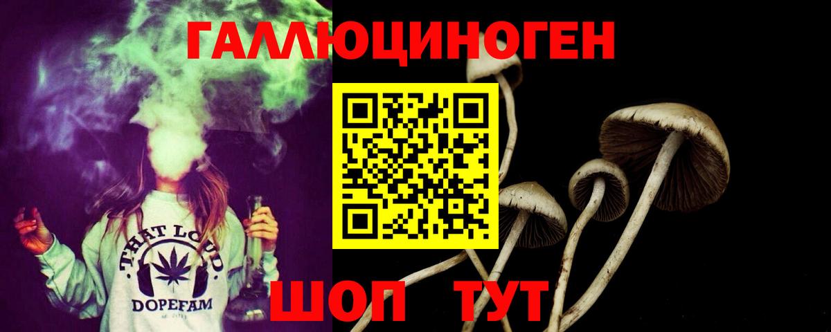 Галлюциногенные грибы MAGIC MUSHROOMS  Вход с VPN  Лабинск 